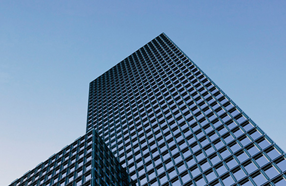 关于奇异果（中国）